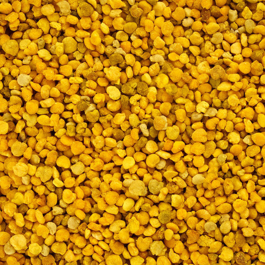 Herb Profile: Bee Pollen (Pollen produced by the honeybee, Apis mellifera L.)