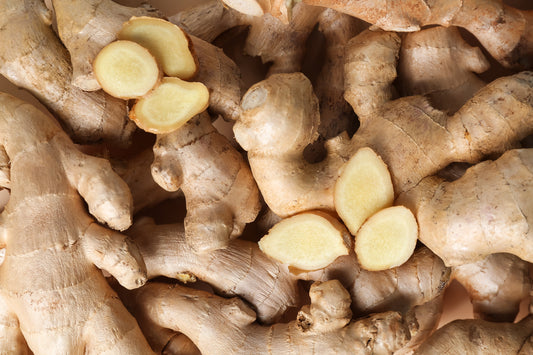 Herb Profile: Ginger (Zingiber officinale)