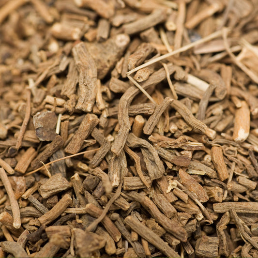 Herb Profile: Valerian (Valeriana officinalis)