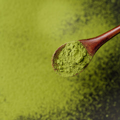 Matcha Herb Profile
