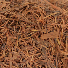 Pau D'Arco Herb Profile