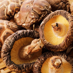 Shiitake Herb Profile