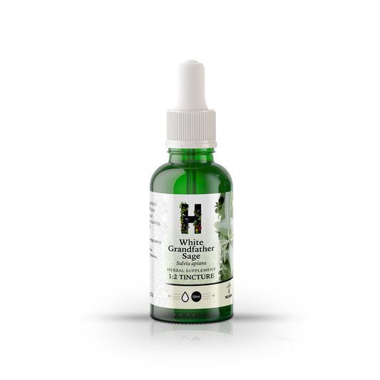 White Grandfather Sage 1:2 Liquid Herb