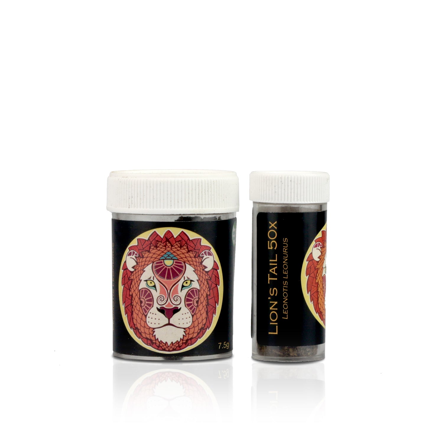 Lion's Tail 50x - Happy Herb Co