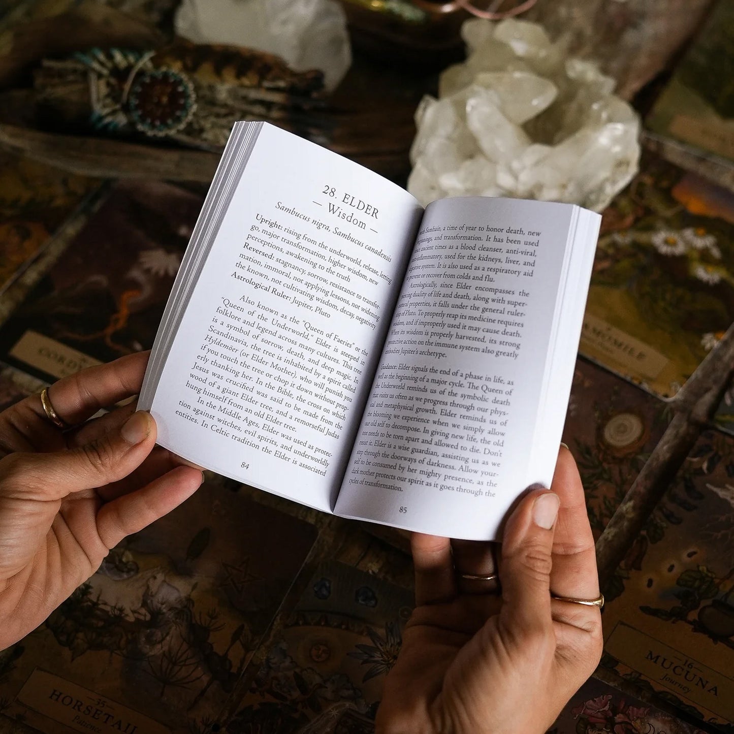 Herbal Astrology Oracle - Pocket Sized Edition