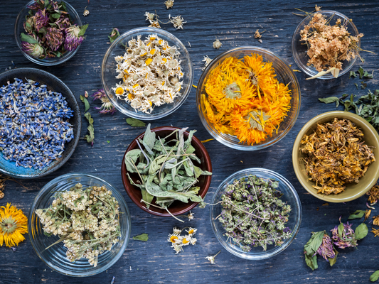 Common Mistakes Made with Herbs