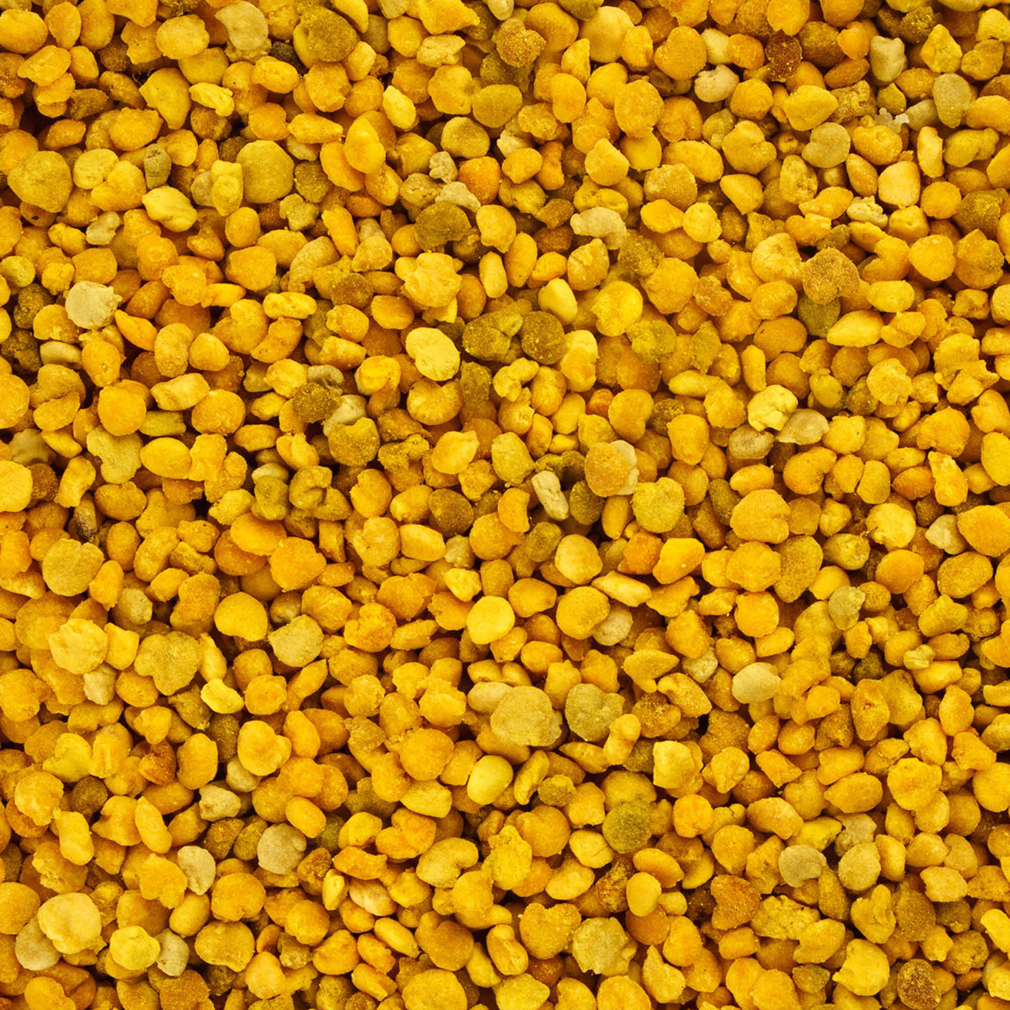 Herb Profile: Bee Pollen (Pollen produced by the honeybee, Apis mellifera L.)