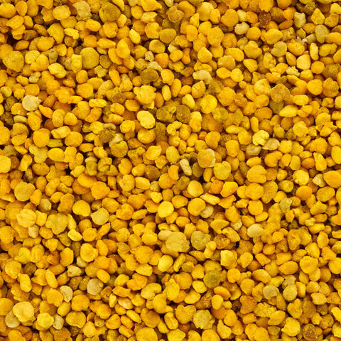 Herb Profile: Bee Pollen (Pollen produced by the honeybee, Apis mellifera L.)