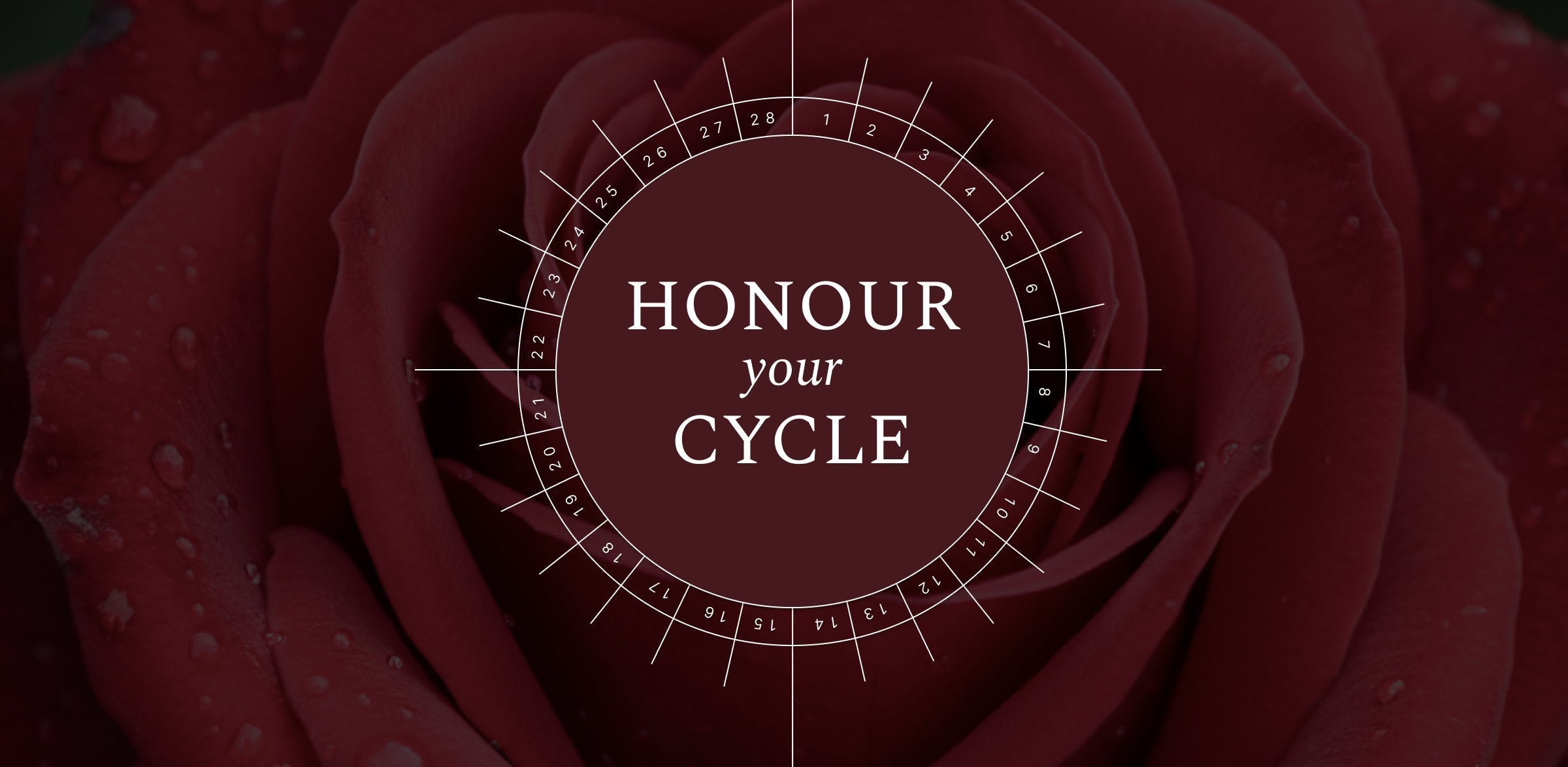 Honour your Cycle: Herbs & Rituals for Every Menstrual Phase