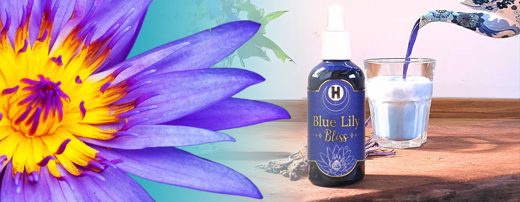 Blue Lily Bliss Milk