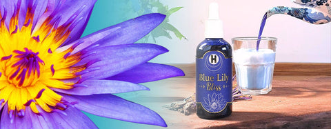 Blue Lily Bliss Milk Recipe