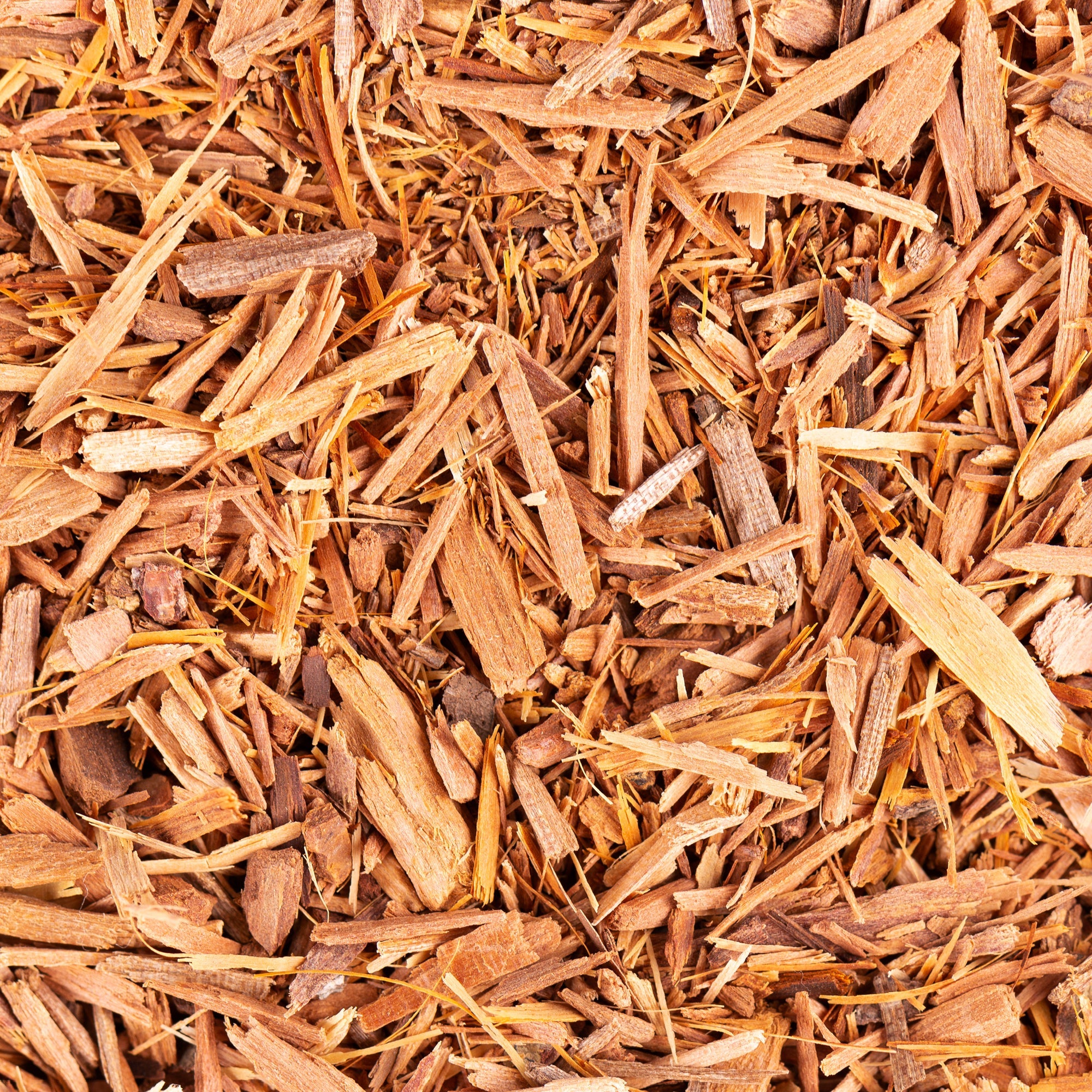 Herb Profile: Catuaba (Erythroxylum vaccinifolium)
