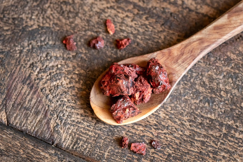 Herb Profile: Dragon's Blood (Croton lechleri)