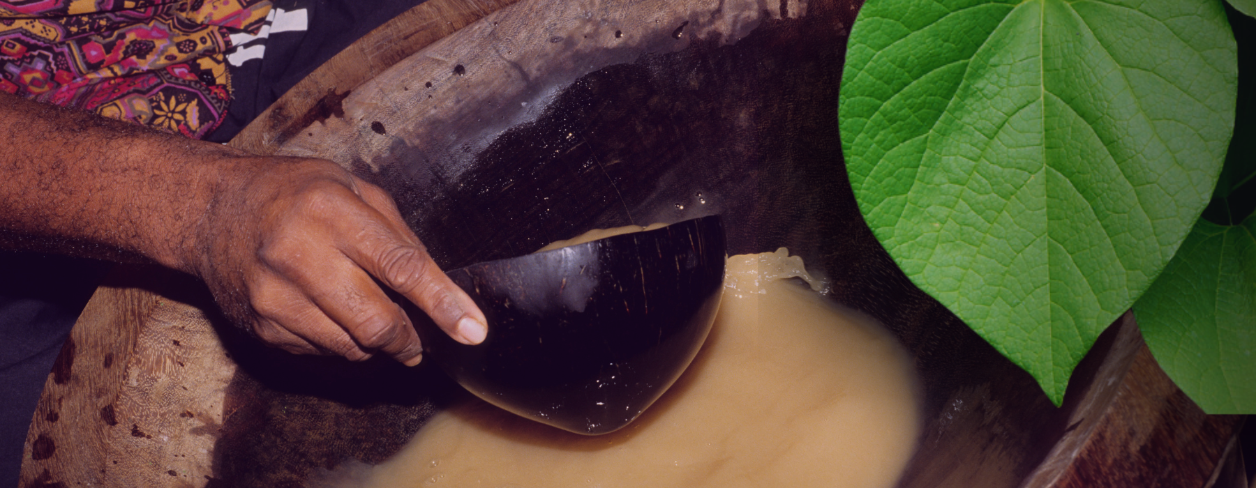 Exploring Kava Culture Around the World