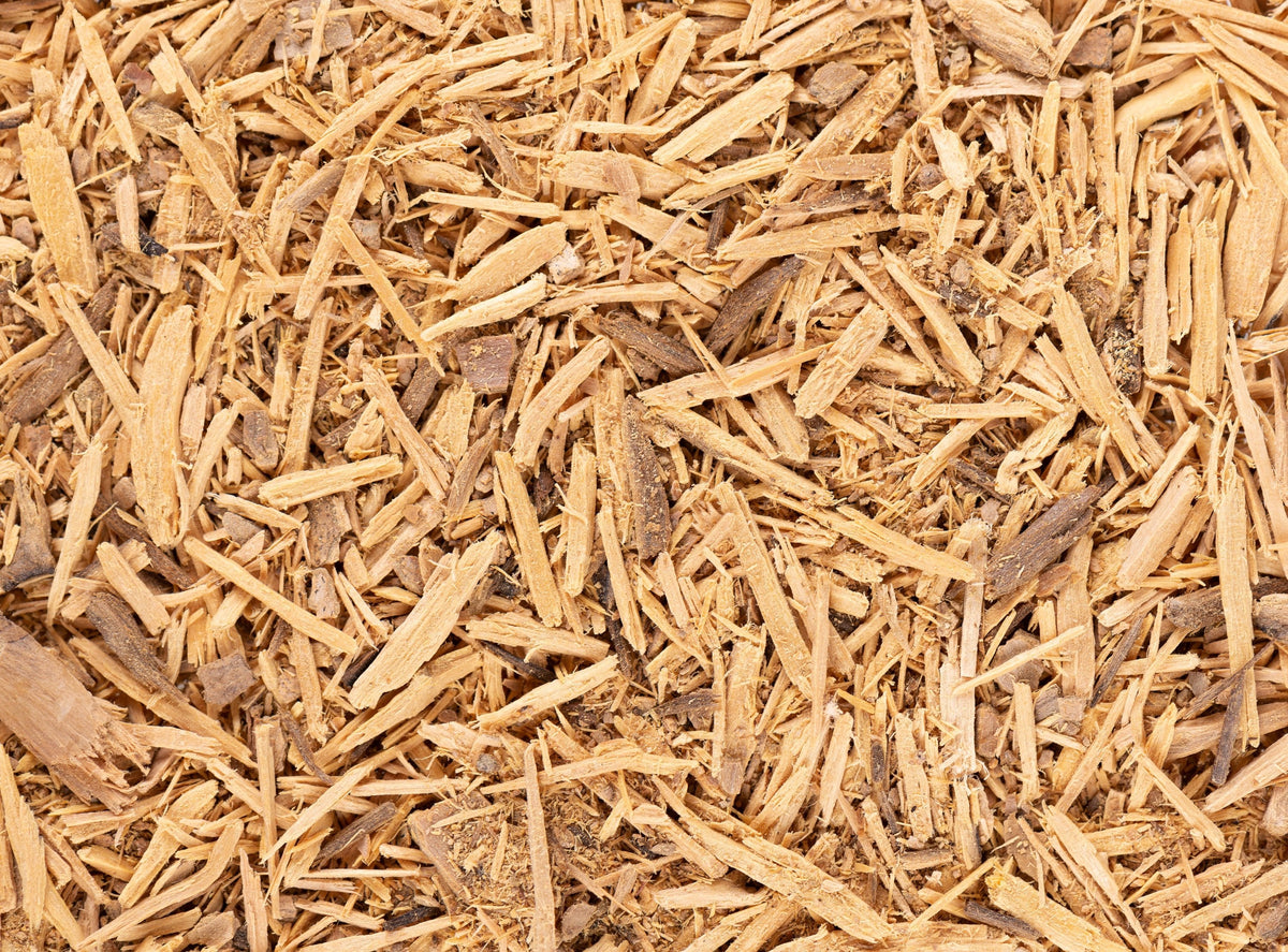 Herb Profile: Muira Puama (Ptychopetalum olacoides)