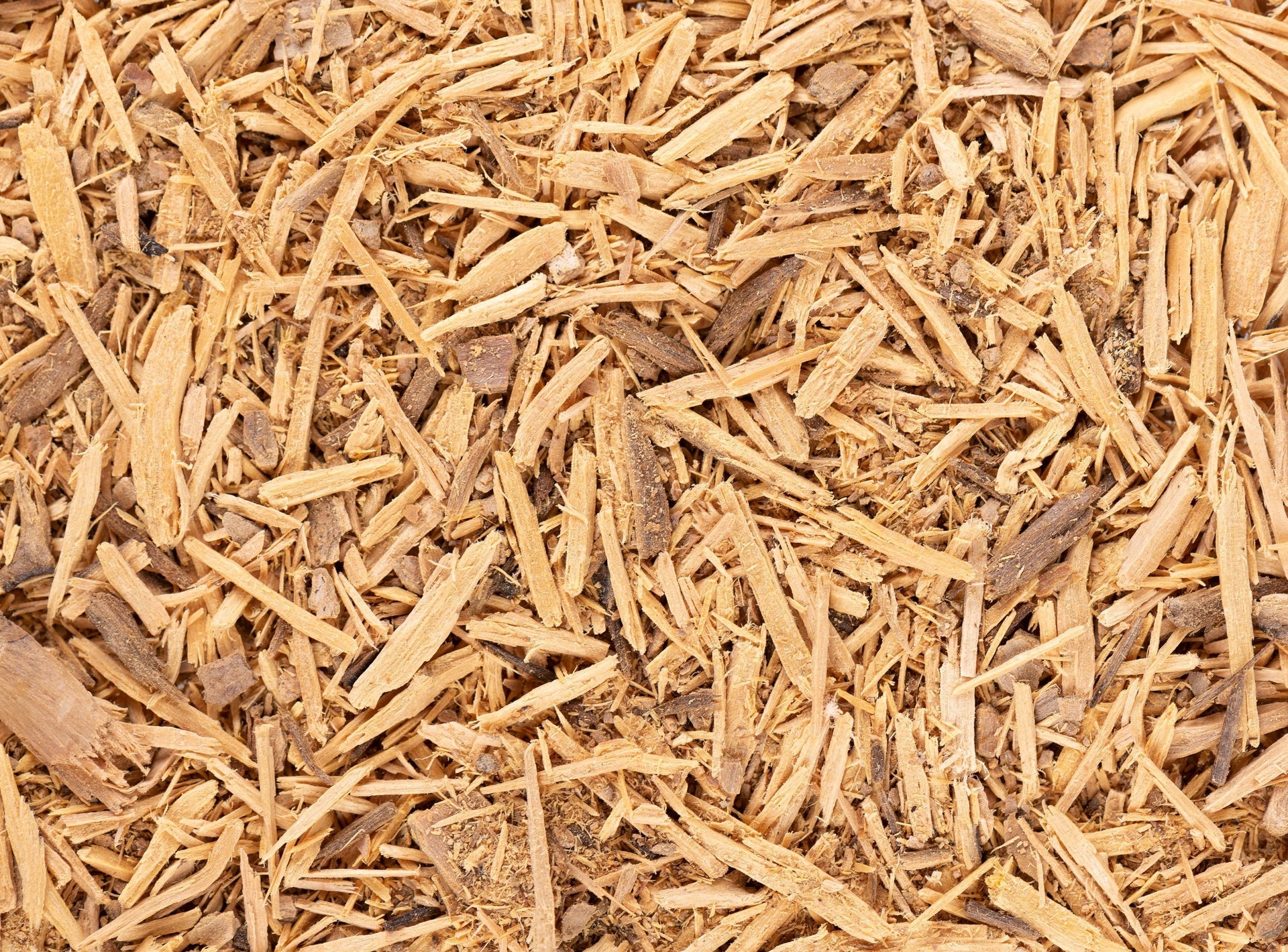 Herb Profile: Muira Puama (Ptychopetalum olacoides)  Happy Herb Co