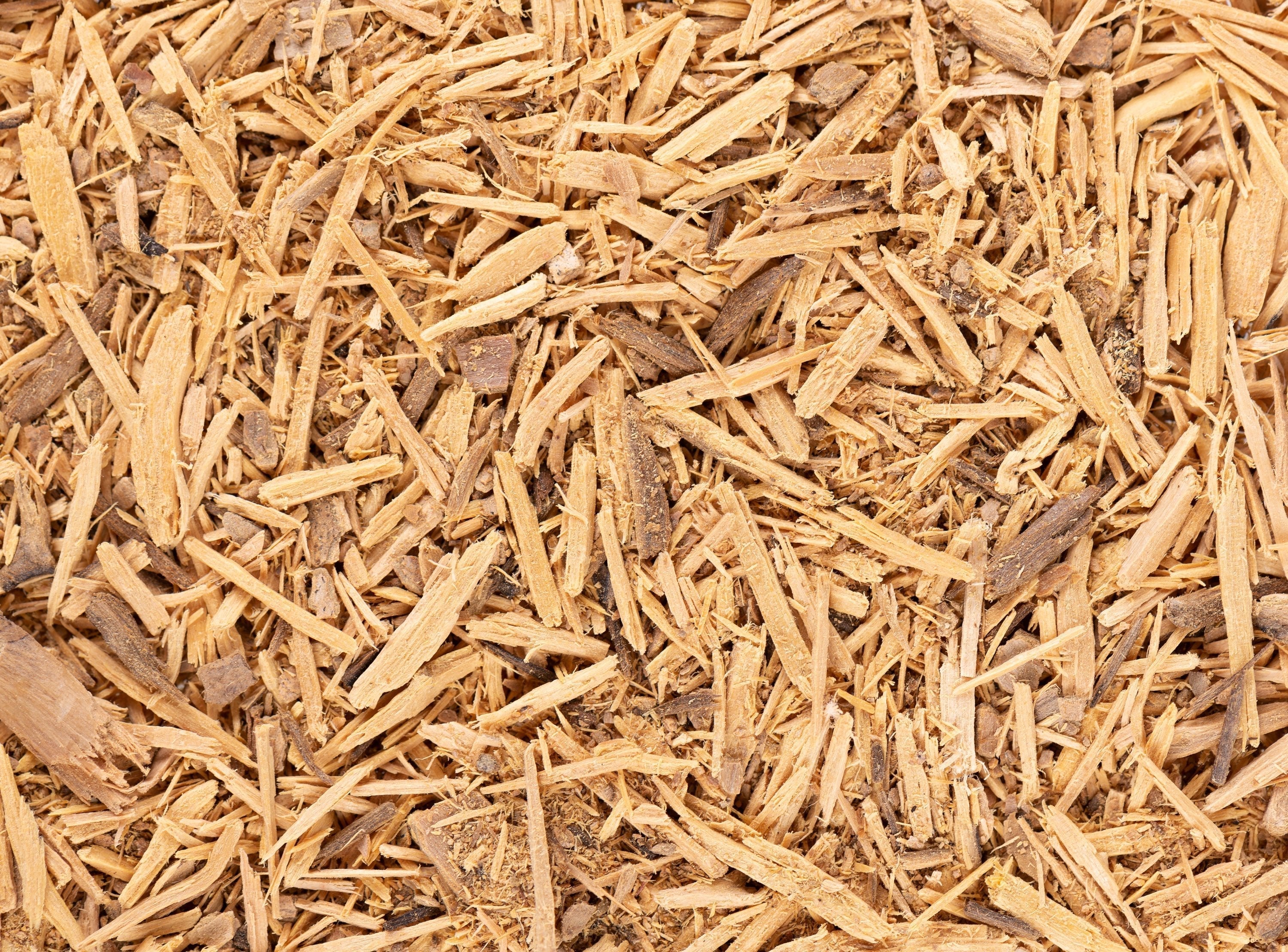 Herb Profile: Muira Puama (Ptychopetalum olacoides)