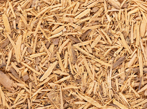 Herb Profile: Muira Puama (Ptychopetalum olacoides)