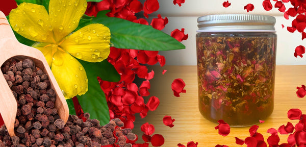 Love Thyself Herbal Oxymel