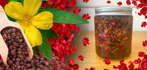 Love Thyself Herbal Oxymel