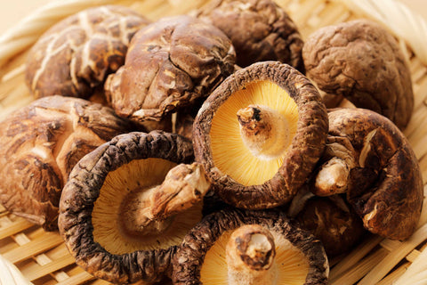 Herb Profile: Shiitake Mushroom (Lentinufa erodes)