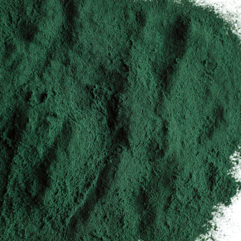 Herb Profile: Spirulina (Arthrospira platensis)