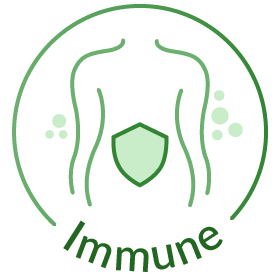 Immune Support Herbs
