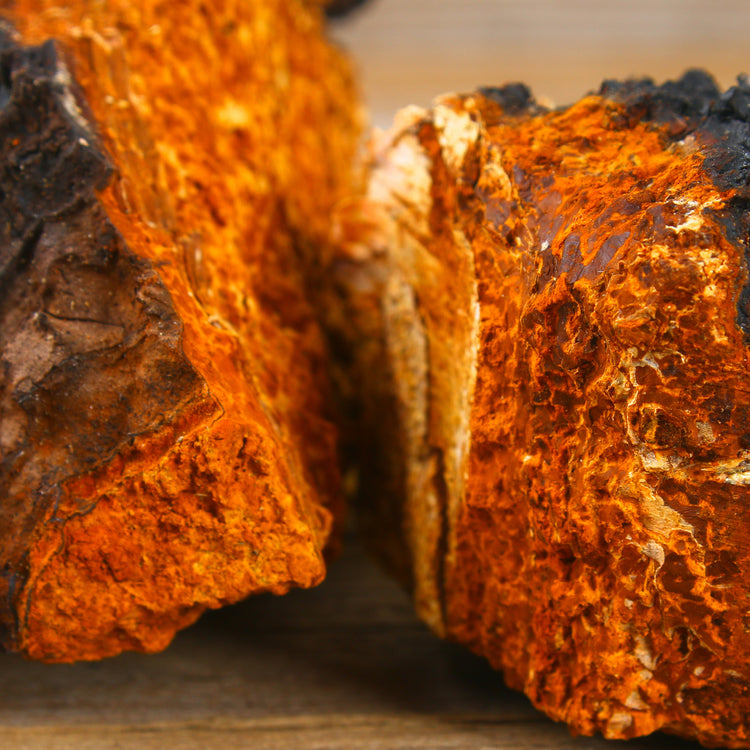 By Herb / Chaga