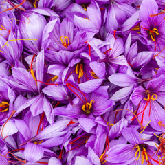 Saffron Herb Profile