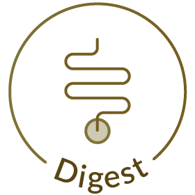 Herbs to Aid Digestion