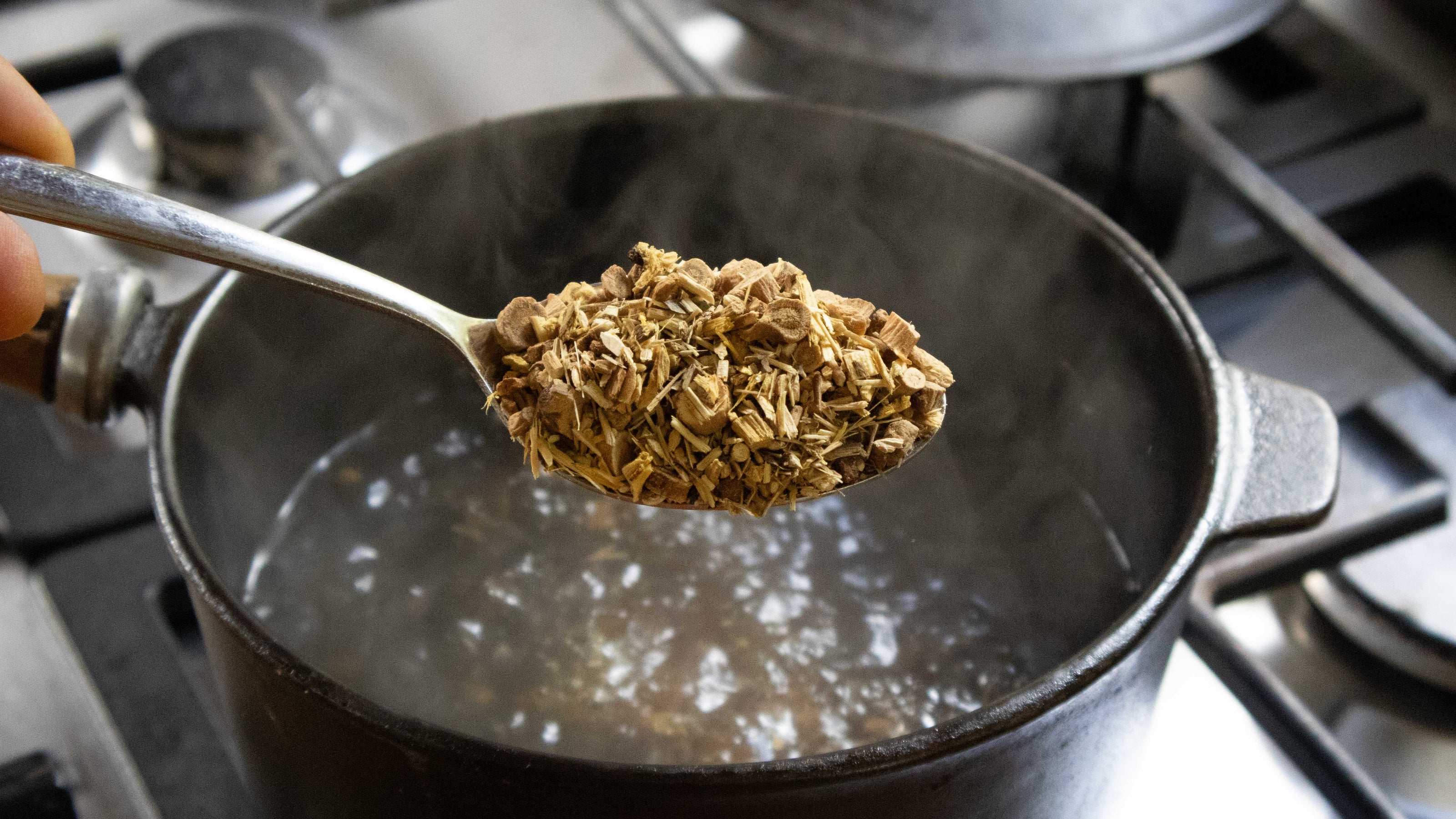 Spoonful of dried roots tea blend over a pot on a stove
