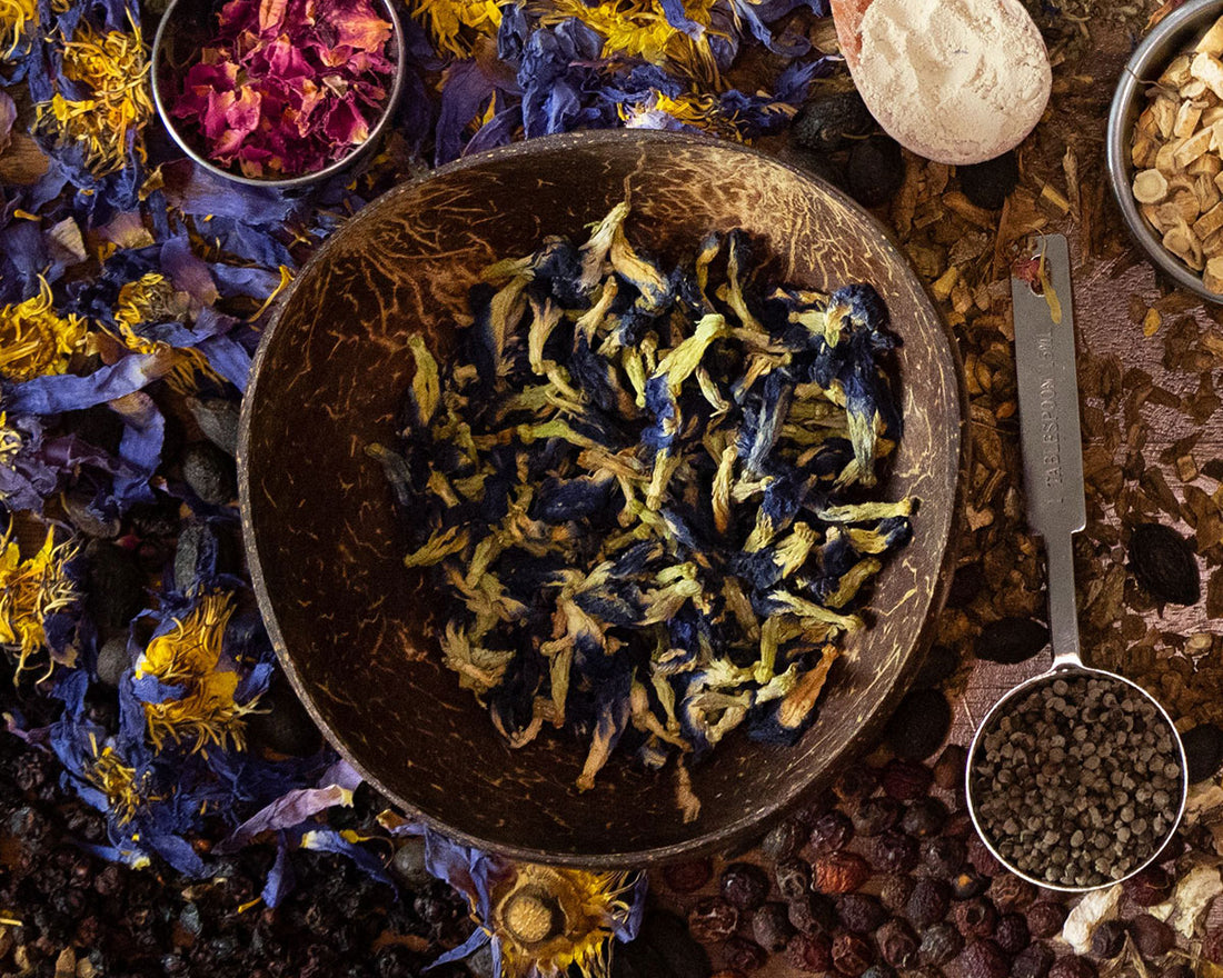 Happy Herb Co | Herbs for Health & Wellness