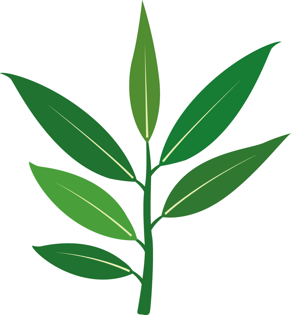 Image of a branch and leaves. Largest herbal supplier products and range