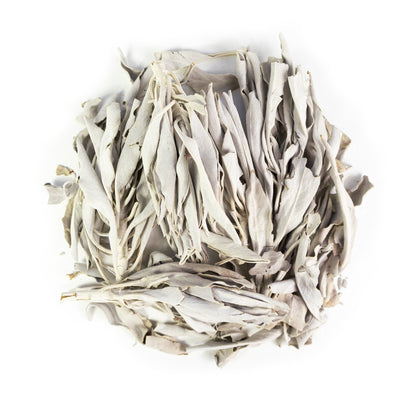 White Grandfather Sage
