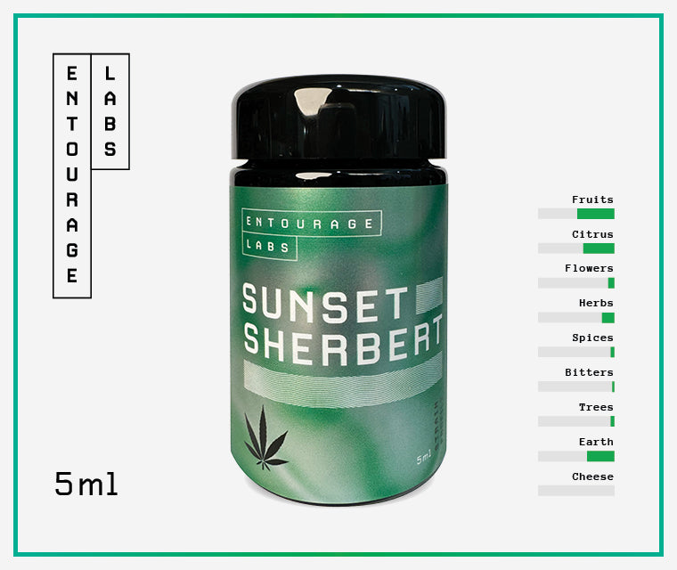 Terpene Strain Profile - Sunset Sherbert