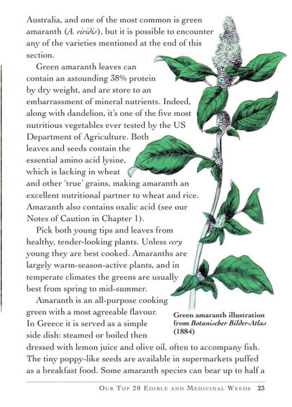 Weed Forager's Handbook: A Guide to Edible and Medicinal Weeds in Australia