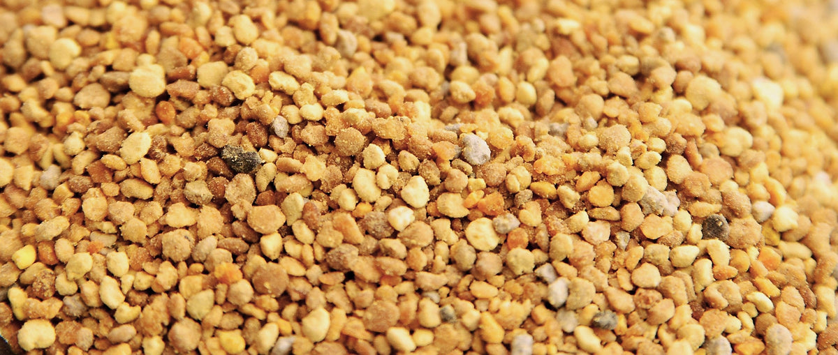 Bee Pollen, Pollen produced by the honeybee, Apis mellifera L.