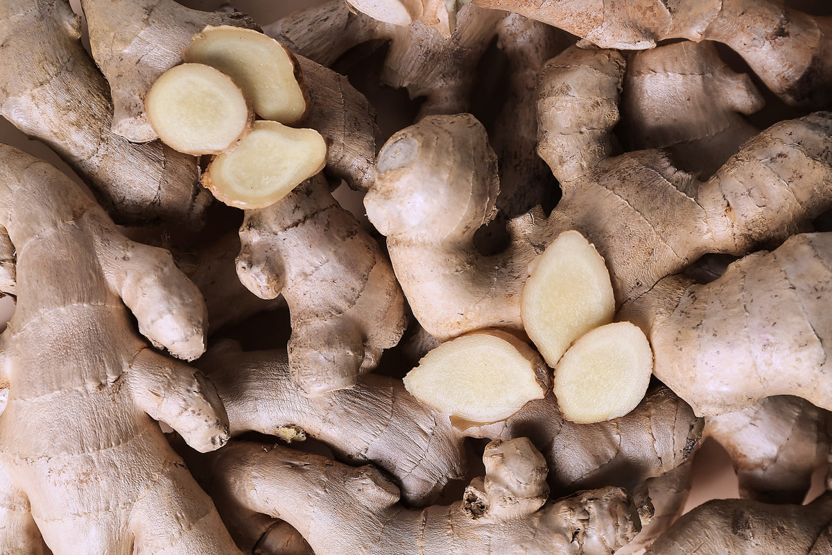 Ginger, Zingiber officinale