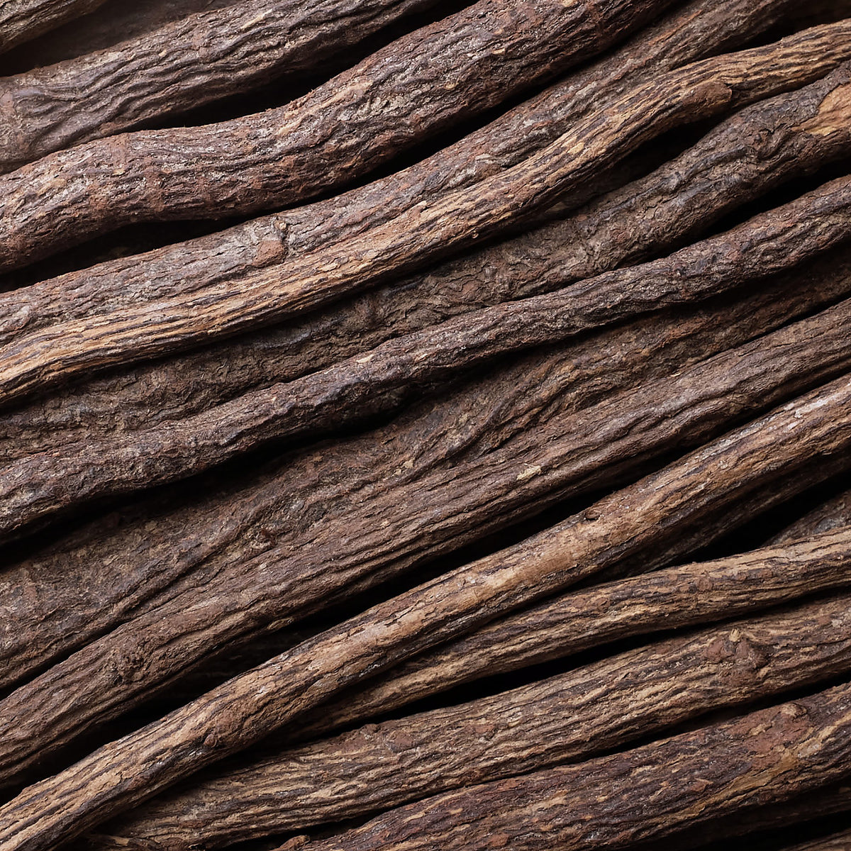 Licorice Root, Glycyrrhiza glabra