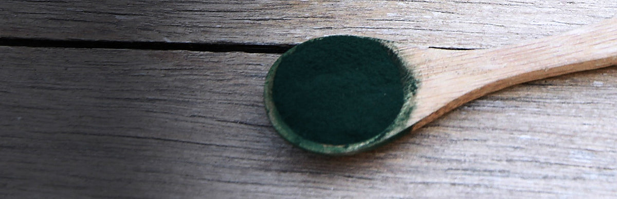 Spirulina, Arthrospira platensis