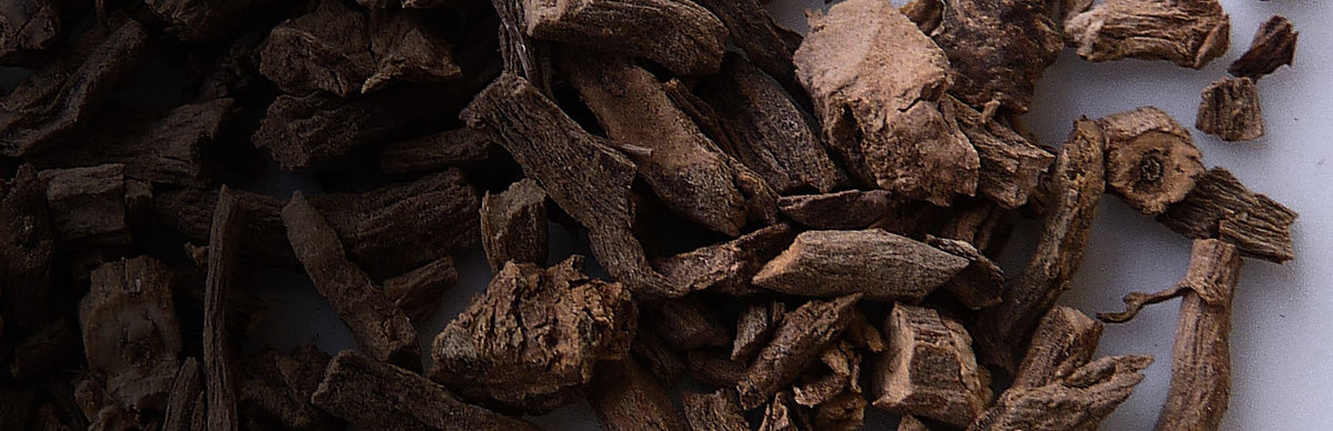 Valerian, Valeriana officinalis