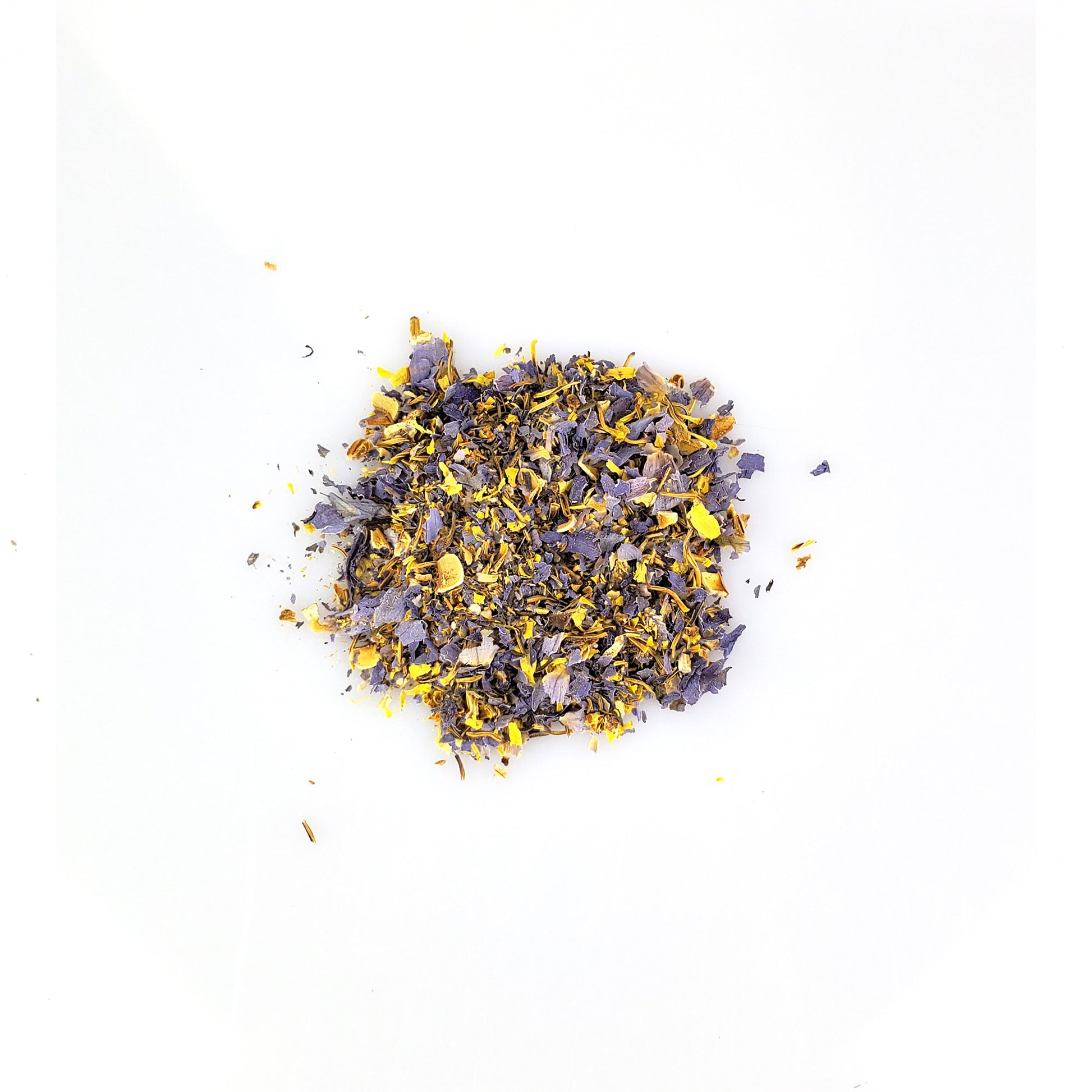 Blue Lily Cut Flower - Happy Herb Co