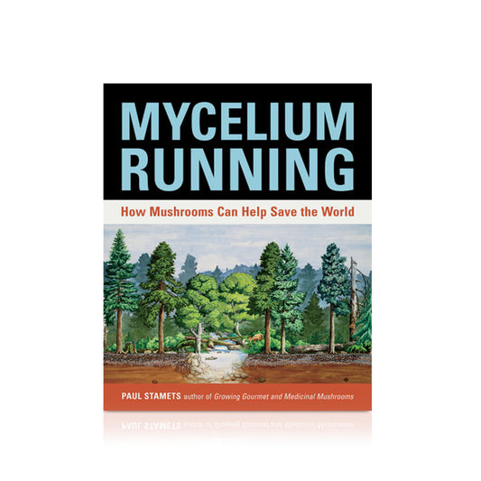 Mycelium Running: How Mushrooms Can Help Save the World