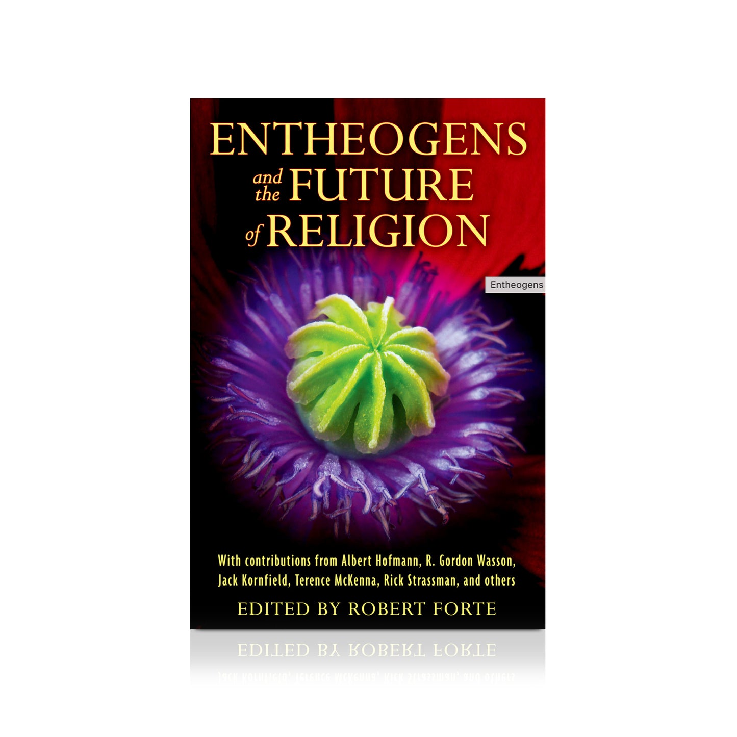 Entheogens and the Future of Religion